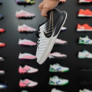 نایک تمپو سالنی